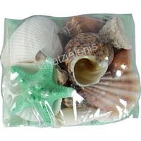 135289 ΟΣΤΡΑΚΑ ΣΕ  DRIFTWOOD ΠΡΑΣΙΝΟ 11Χ8